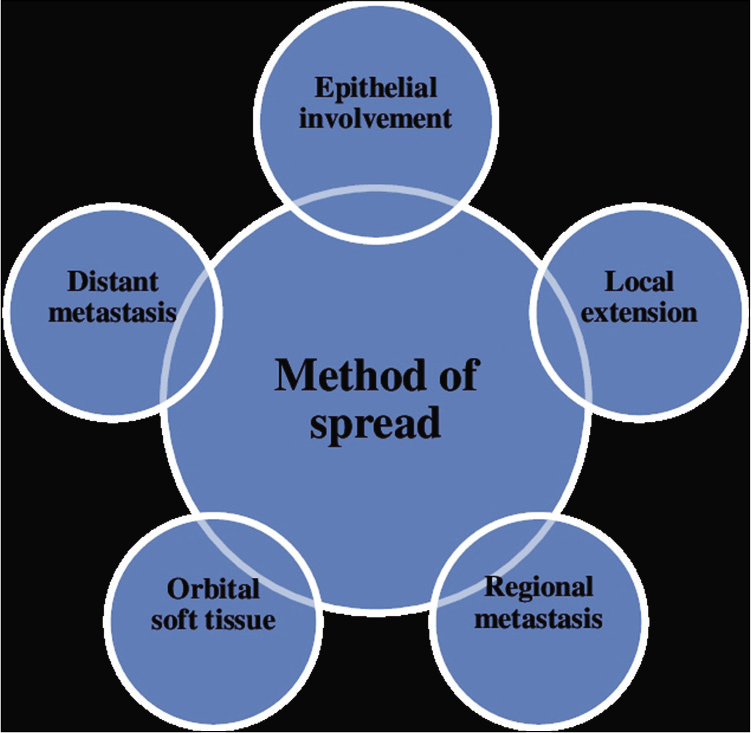 Sebaceous carcinoma has ability to migrate beyond its original location. Here are some of the methods given through which sebaceous carcinoma is shown to exhibit metastasis.