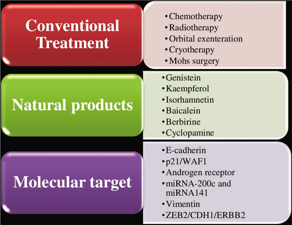 Depicting the different treatment and therapeutic target in sebaceous gland carcinoma.
